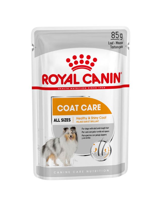 Royal Canin Coat Care Wet Pouch 85G