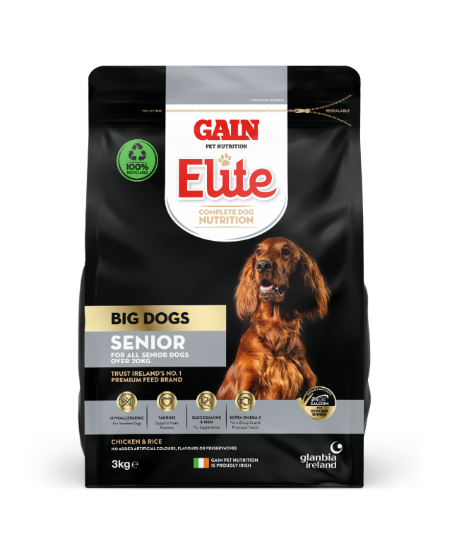 Gain Elite Big Dog Senior Dry Dog Food