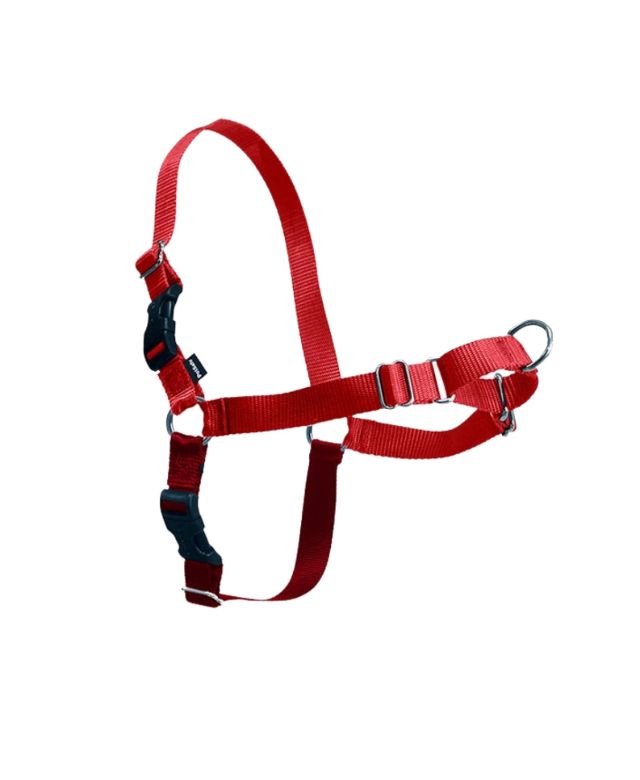 Easy Walk Harness Extra Large Red)