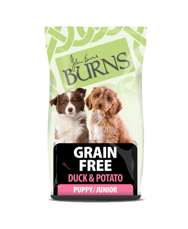 Burns Grain Free Duck & Potato Puppy Dry Food