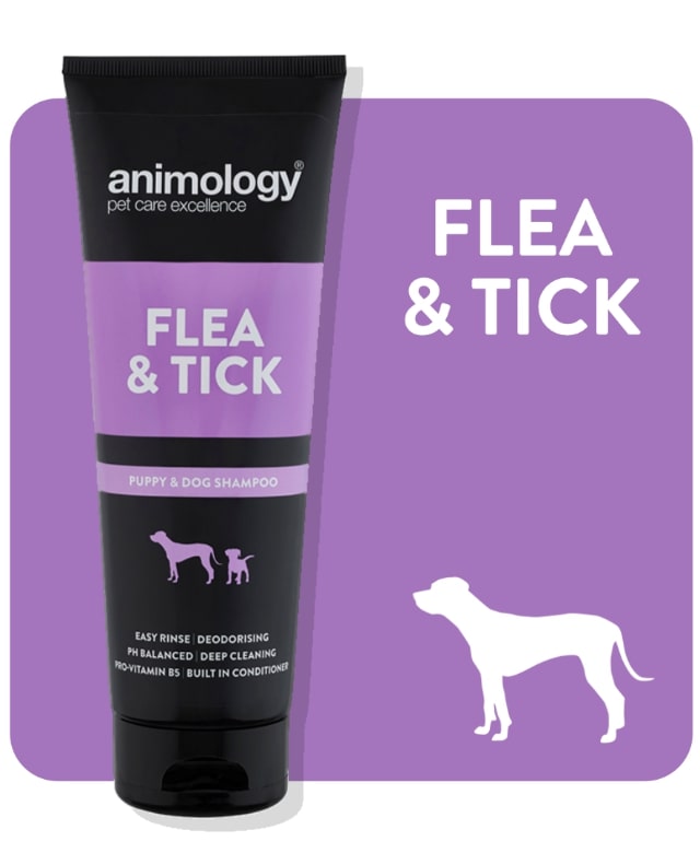 Animology Flea/Tick Shampoo