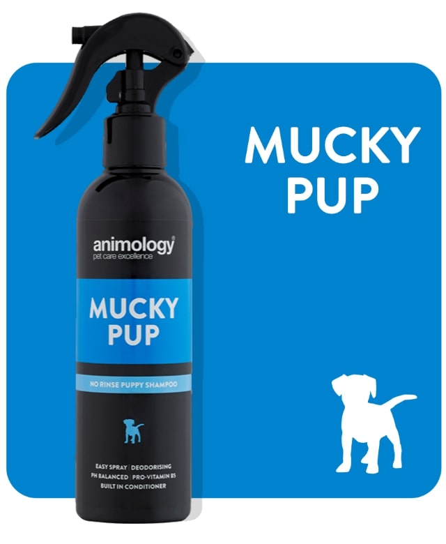 Animology Mucky Pup No Rinse Shampoo