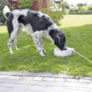 Trixie Auto Outdoor Water Bowl 1.5L