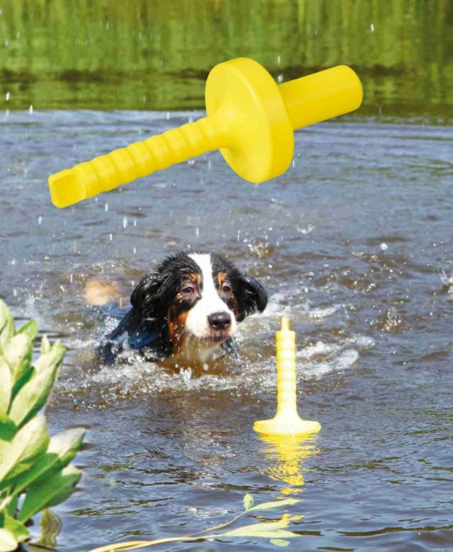 Trixie Dog Aqua Activity Mot