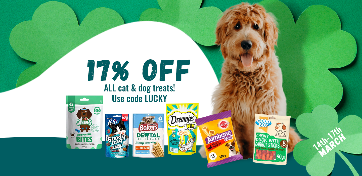 St Patricks Day Offer Buy4PetsOnline