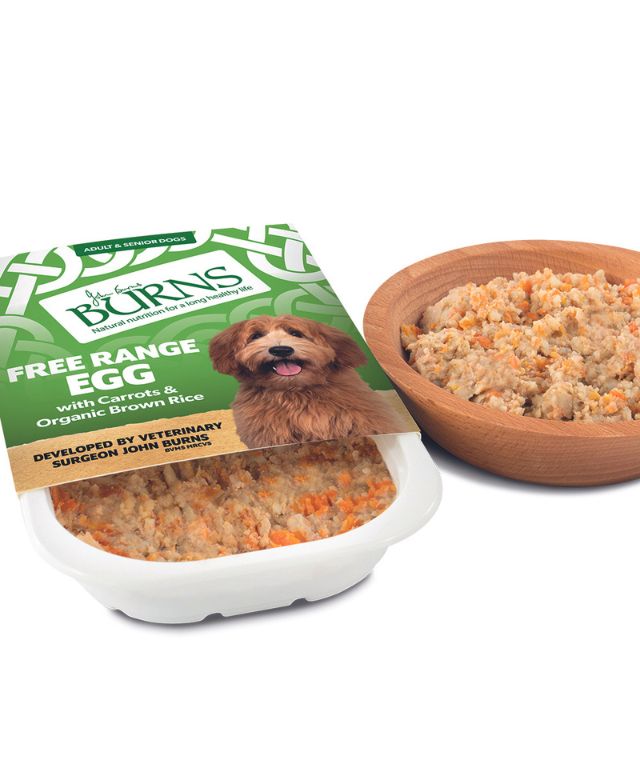 Moist dog food shop for small dogs