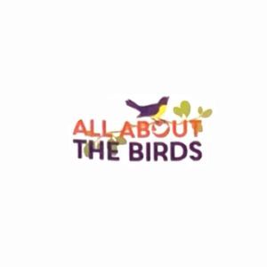 All About The Birds
