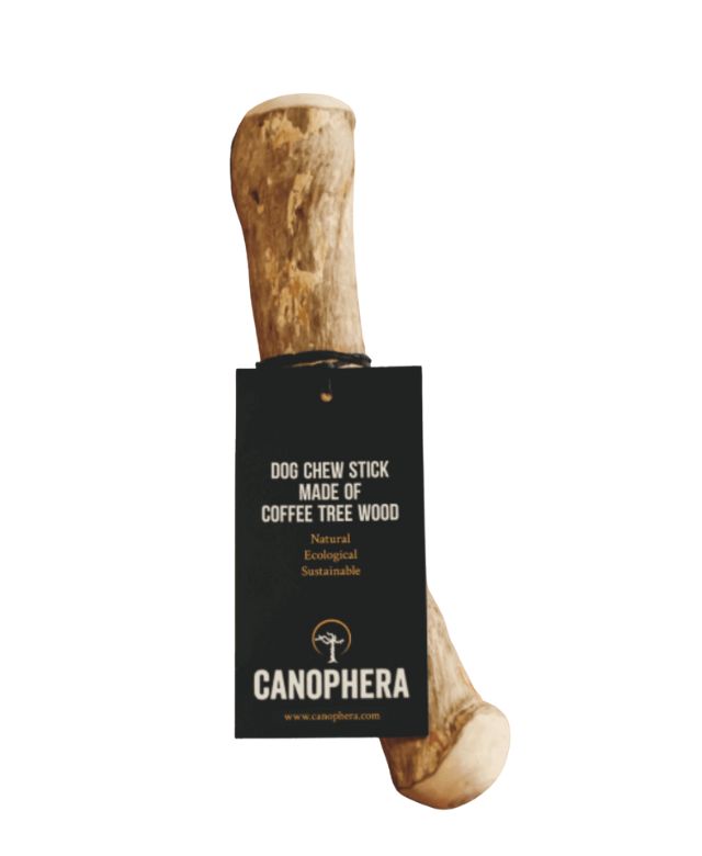 Canophera Coffee Tree Wood Dog Chew