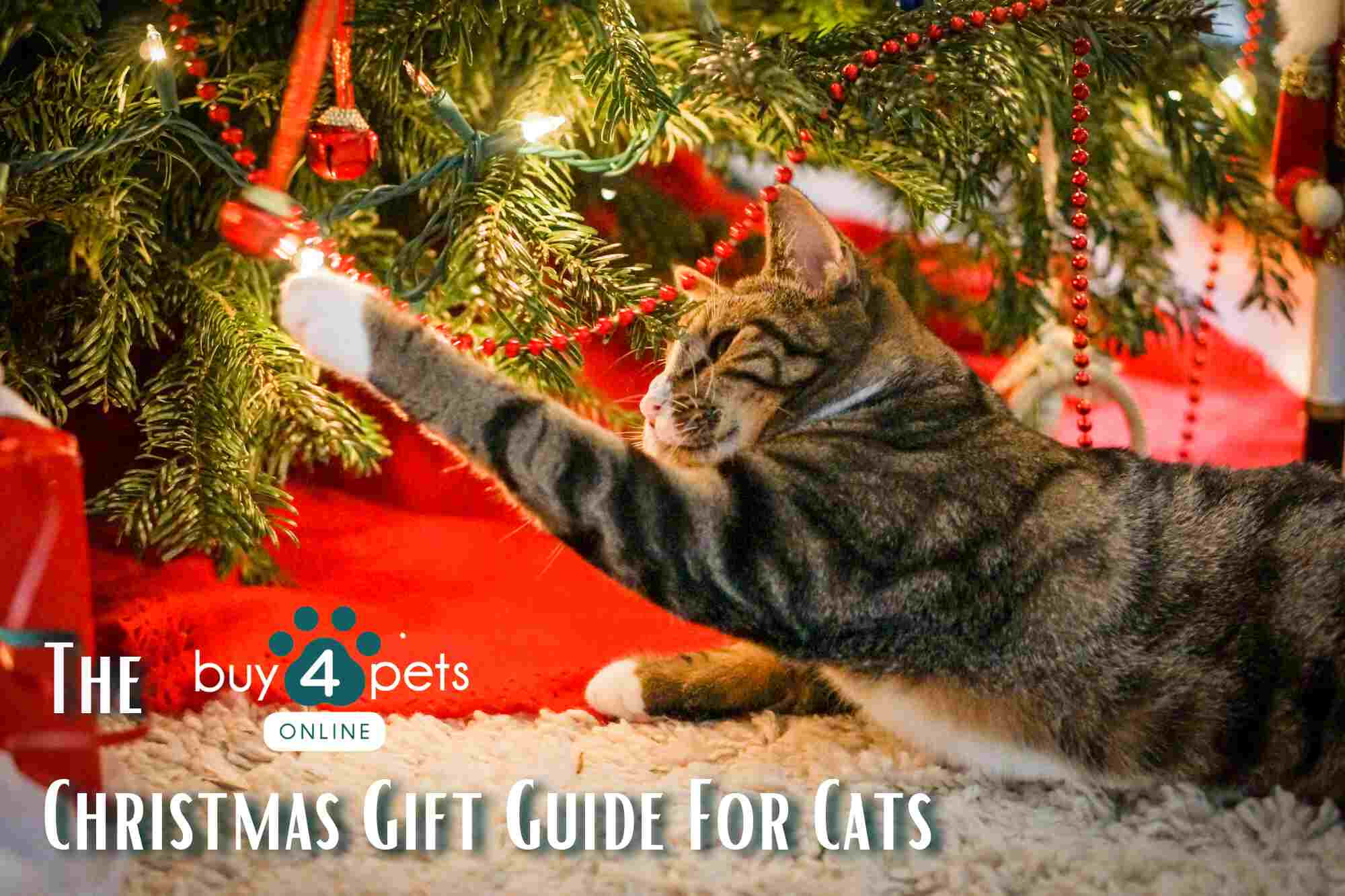 The best Christmas gifts for cats and dogs