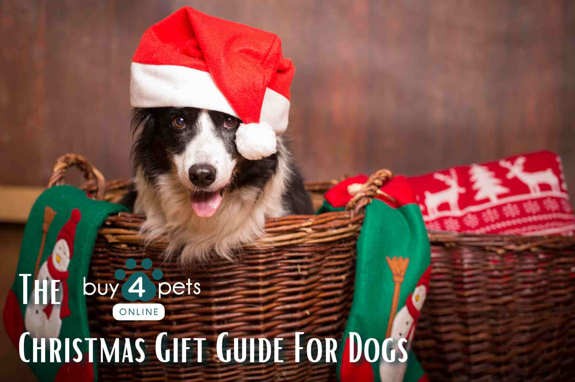 The 12 Best Christmas Presents for Your Dog