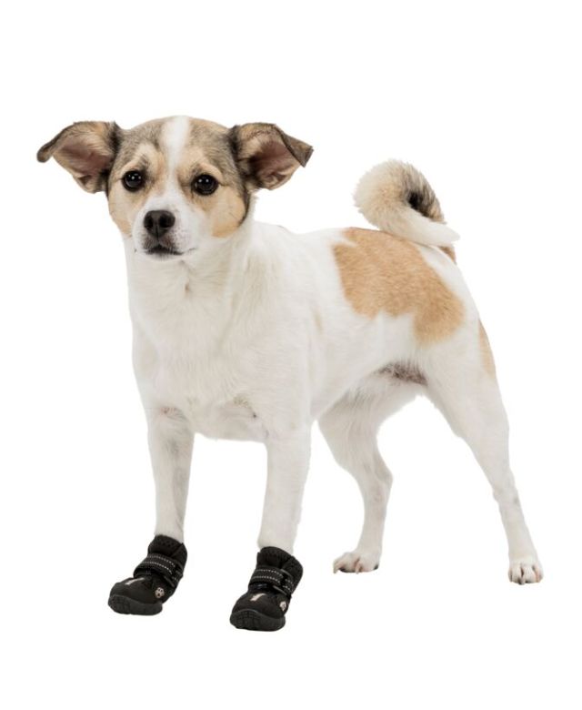 Trixie Non-Slip Dog Socks With All-Round Rubber Coating 2Pk, Black