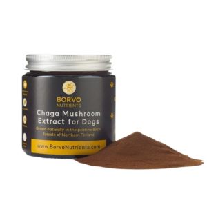 BORVO Chaga Mushroom Extract for Dogs - 5391542590032