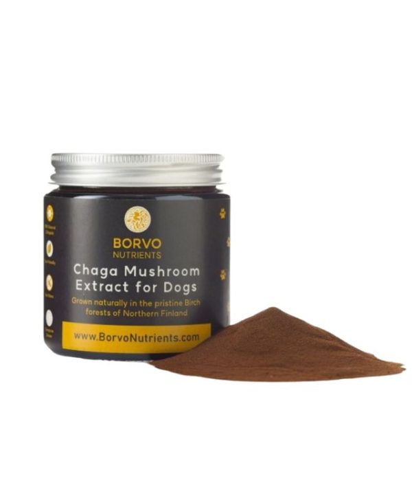 BORVO Chaga Mushroom Extract for Dogs - 5391542590032