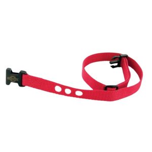 PetSafe Replacement Strap Dog Fence Collars - Red - 729849138711