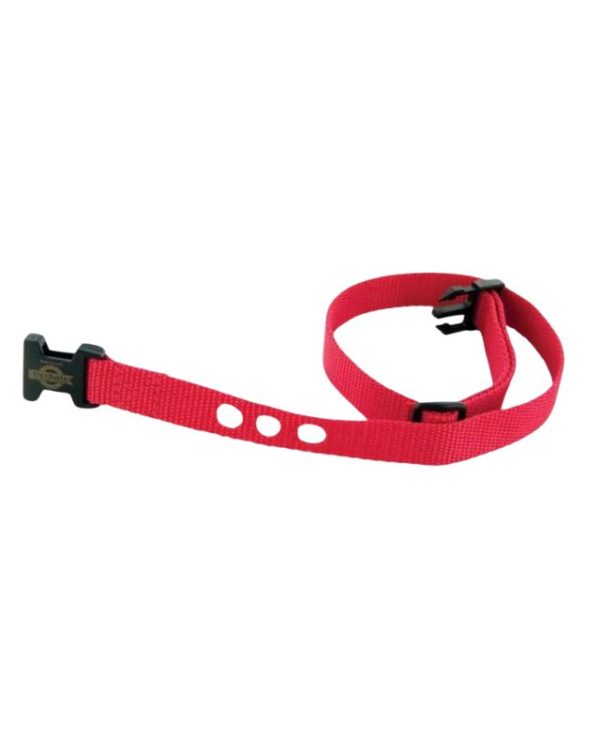 PetSafe Replacement Strap Dog Fence Collars - Red - 729849138711