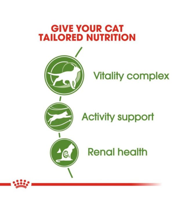 Royal Canin Outdoor 7+ Senior Dry Cat Food 10kg - 3182550784498 Nutrition