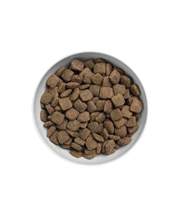 Canagan Lamb Dog Dry Food Grain Free - 2kg - 5029040011734