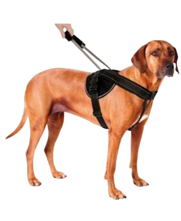 PatentoPet Jockey harness with integrated dog lead (M) - Black - 4042098590014 (3)