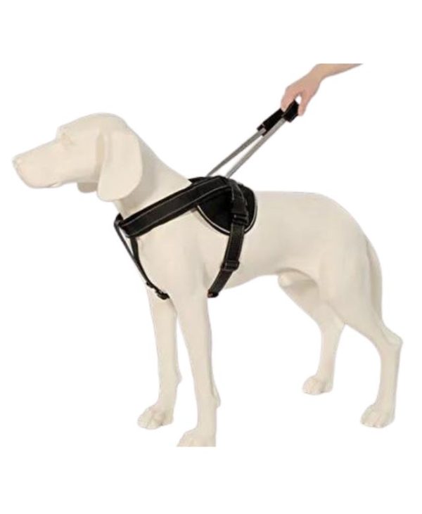 PatentoPet Jockey harness with integrated dog lead (M) - Black - 4042098590014