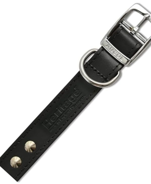 Ancol Heritage Leather Stud Collar Black 26-31cm Size 2 buckle and studs - 5016646102119