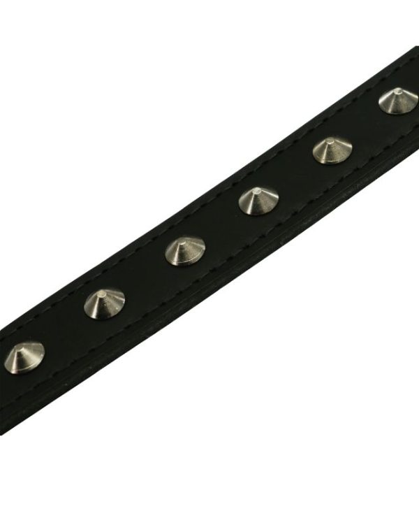 Ancol Leather Stud Collar Black 45-54cm Size 6 studs- 5016646102515