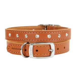 Ancol Leather Stud Collar Tan 26-31cm Size 2- 5016646010216