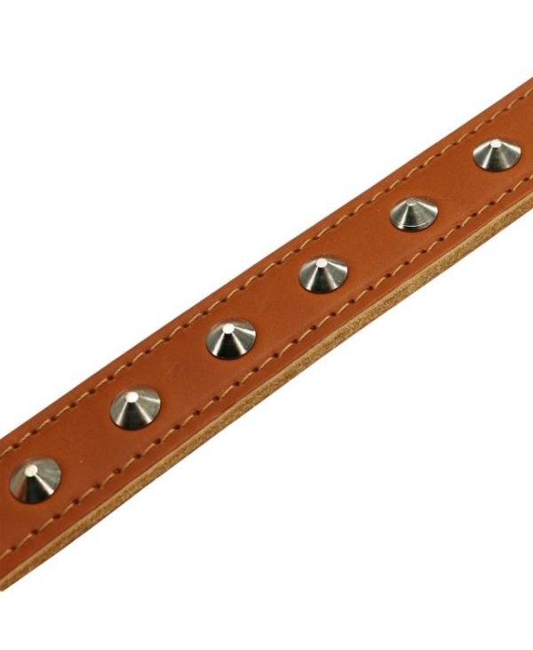 Ancol Leather Stud Collar Tan 26-31cm Size 2 stud strap - 5016646010216