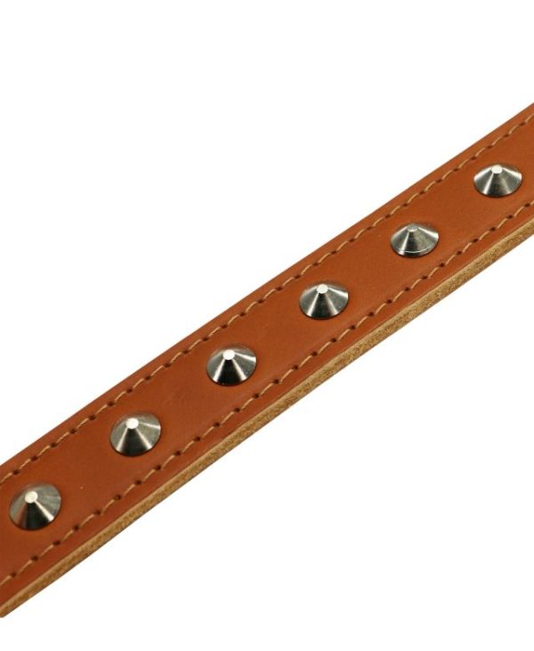 Ancol Leather Stud Collar Tan 39-48cm Size 5 studs- 5016646010247