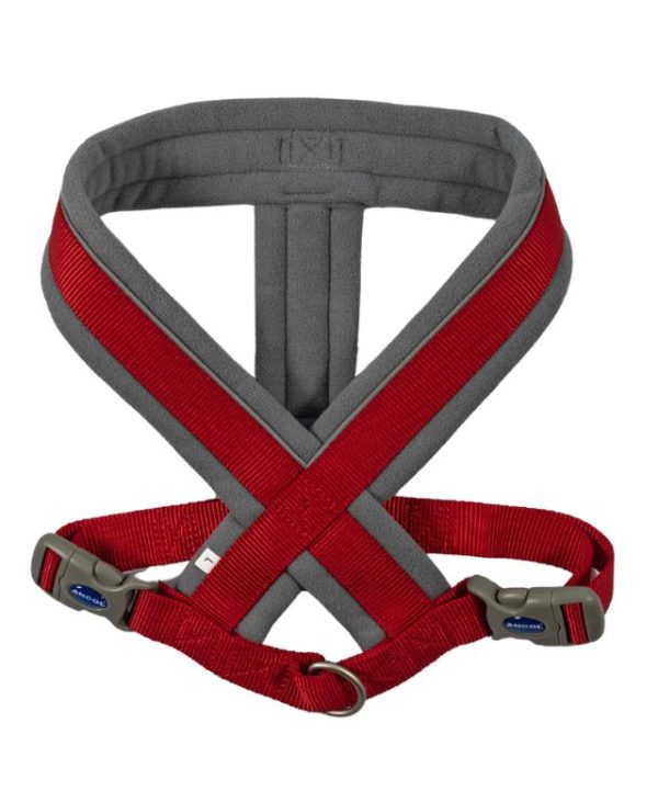 Ancol Viva Padded Harness Red (L) 52-71cm- 5016646180728 (2)