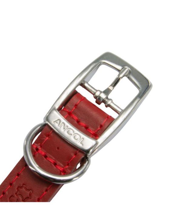 Classic Leather Collar Red 39-48cm Size 5 buckle - 5016646100528