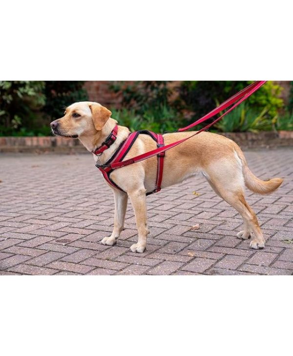 Company of Animals HALTI Comfy Dog Harness - X-Large Red - 886284174428