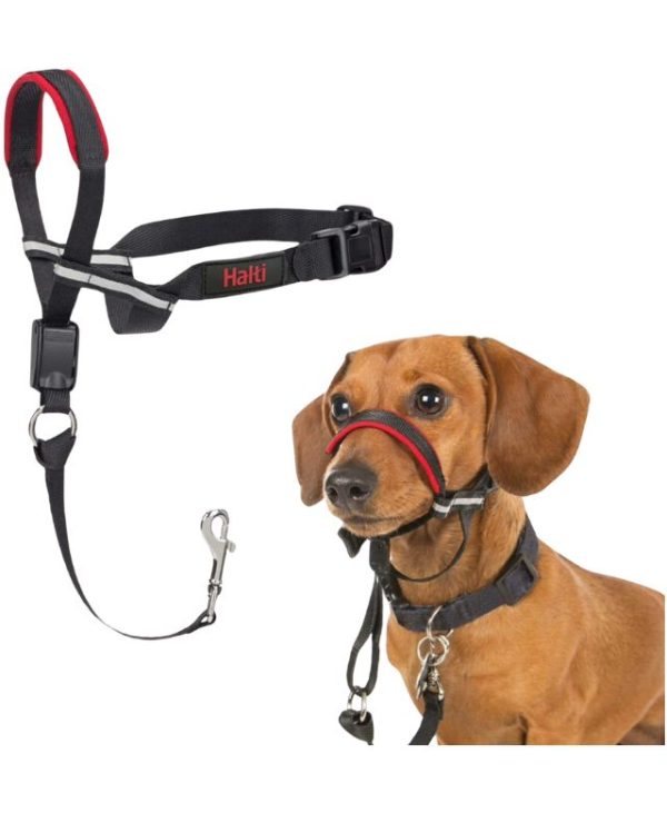 Company of Animals HALTI Optifit Dog Headcollar - Small - 886284124201