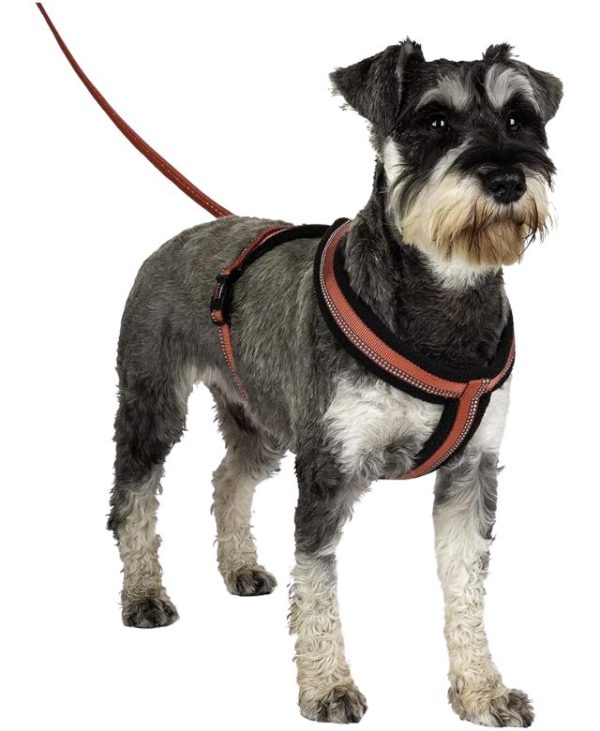 HALTI Comfy Harness Red - Medium - 886284172424