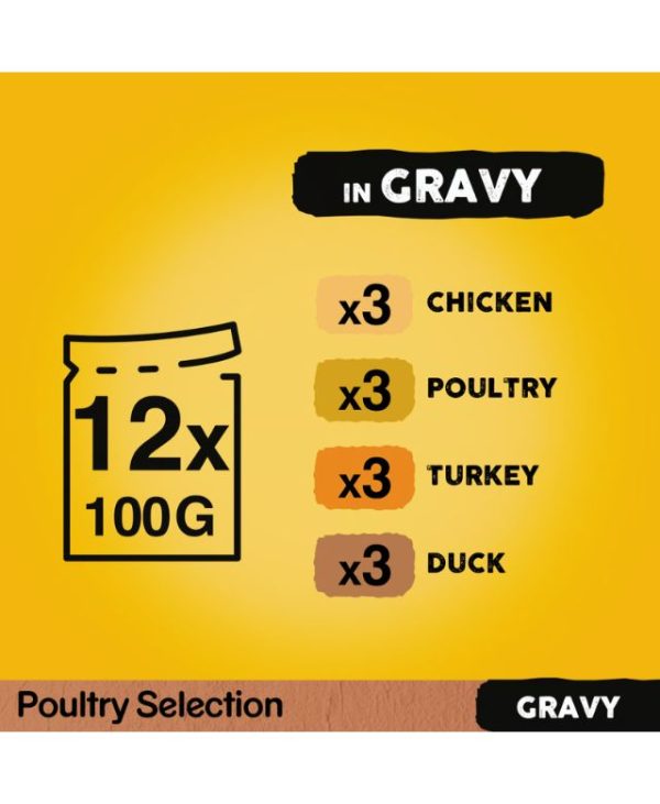 Pedigree chicken, poultry, turkey and duck in Gravy Adult Dog Wet Food Pouches 12 x 100g - 4770608261245