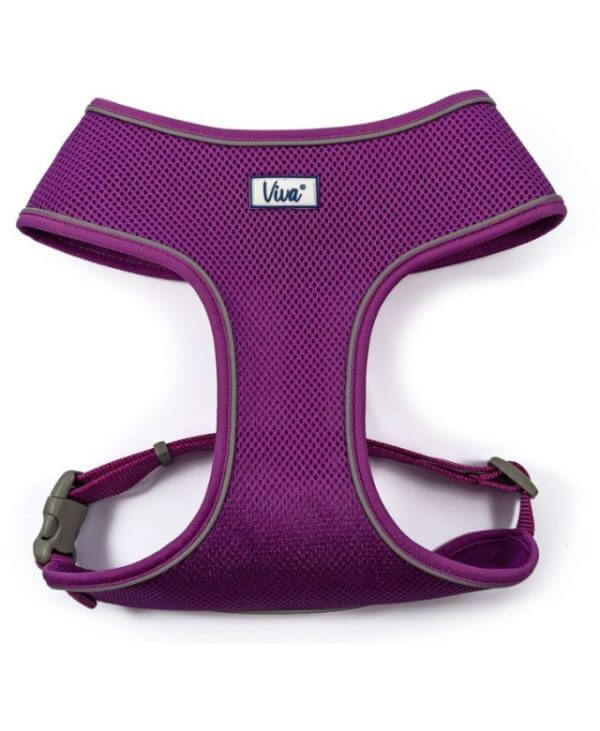 Ancol Viva Comfort Mesh Dog Harness Purple Large - 53-74cm 5016646185389