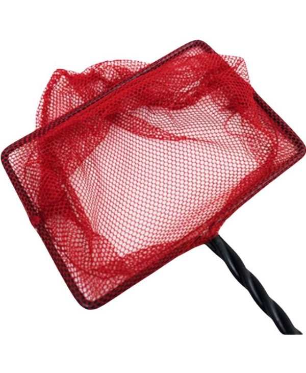 Aqua Dreams Red Fish Net -3_ - 8_ - 5022099271104