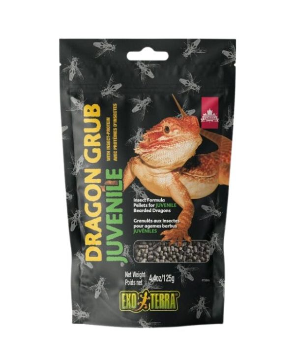 EXO TERRA Dragon Grub Juvenile - 125g