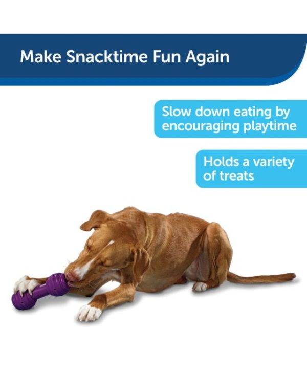 PetSafe-Busy-Buddy-Chuckle-Dog-Toy-729849129337-2-.jpg