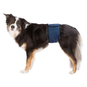 Trixie Nappies for Male Dogs, washable