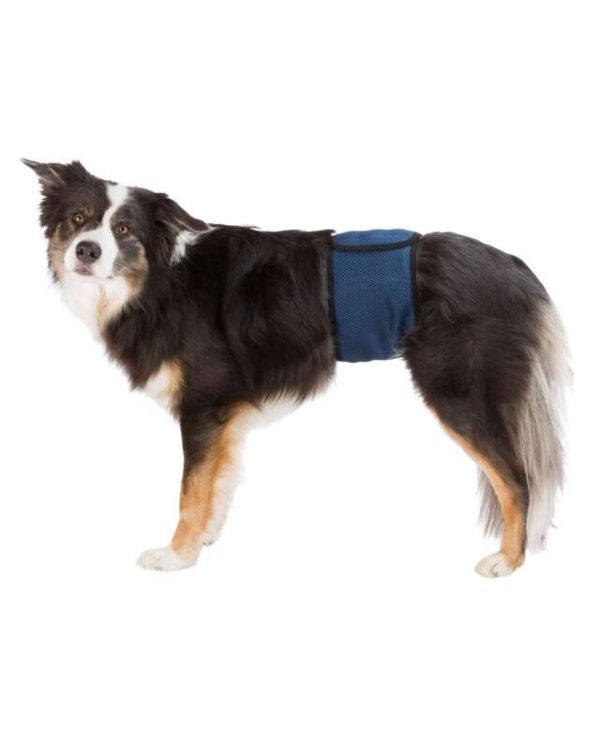 Trixie Nappies for Male Dogs, washable