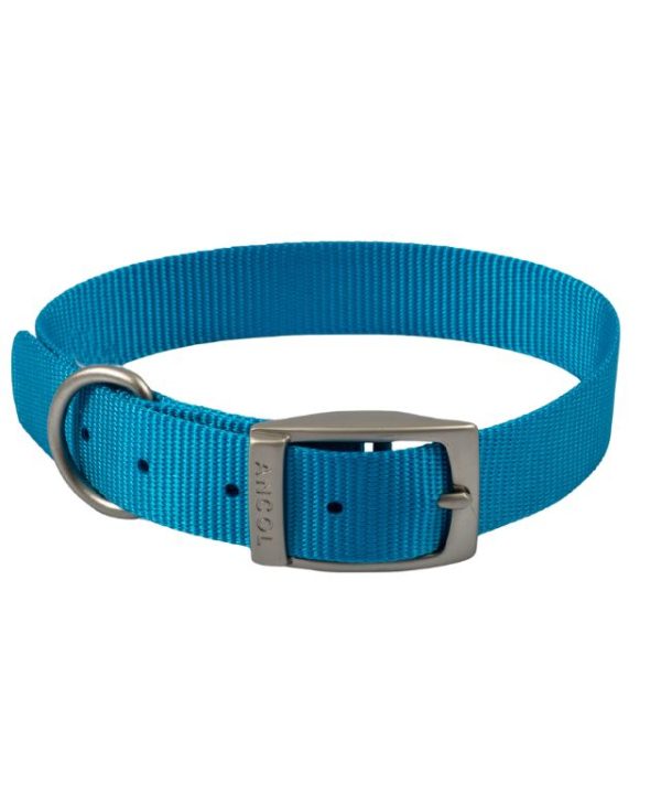 Ancol Viva Dog Collar Blue 35-43cm Size 4