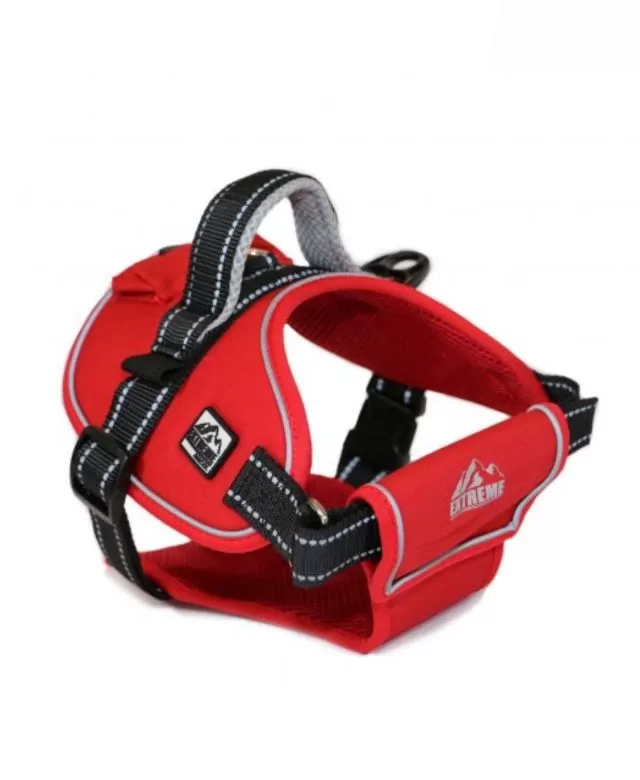 Ancol Red Extreme Harness